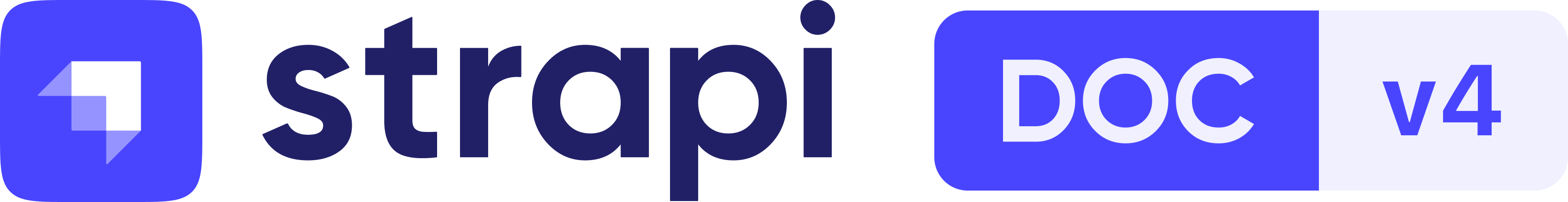 Strapi Documentation Logo